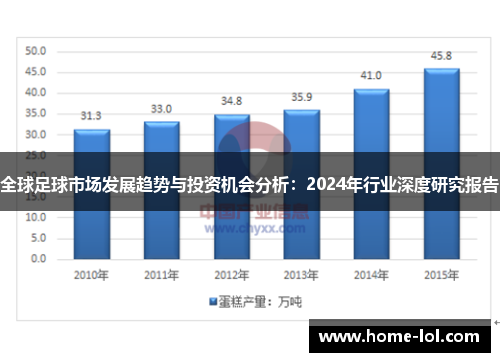 全球足球市场发展趋势与投资机会分析：2024年行业深度研究报告