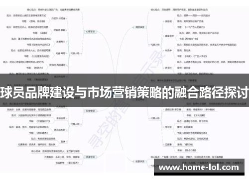 球员品牌建设与市场营销策略的融合路径探讨