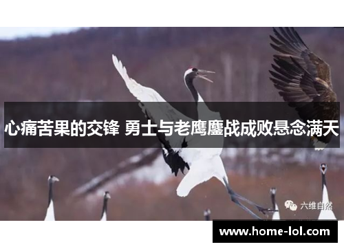 心痛苦果的交锋 勇士与老鹰鏖战成败悬念满天