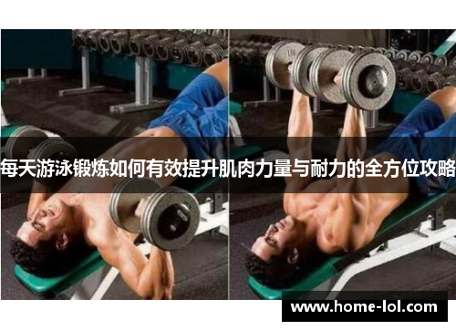 每天游泳锻炼如何有效提升肌肉力量与耐力的全方位攻略