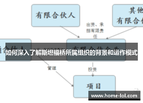 如何深入了解斯坦福桥所属组织的背景和运作模式