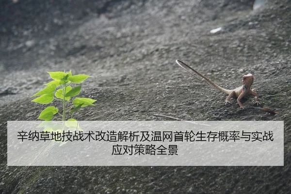 xin-na-cao-di-ji-zhan-shu-gai-zao-jie-xi-ji-wen-wang-shou-lun-sheng-cun-gai-lv-yu-shi-zhan-ying-dui-ce-lve-quan-jing-2-884.jpg