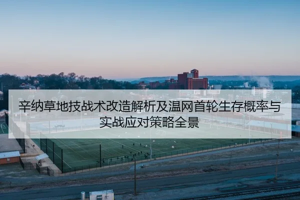 辛纳草地技战术改造解析及温网首轮生存概率与实战应对策略全景